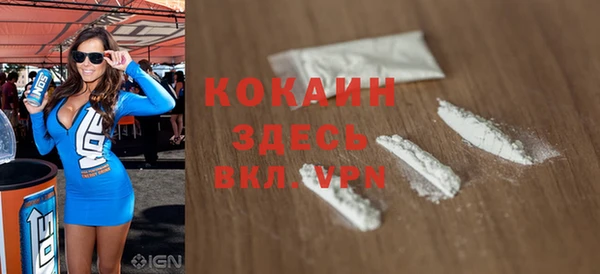 спиды Богородицк