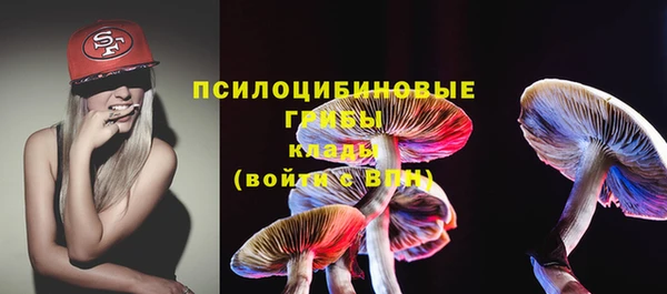 ешки Богданович