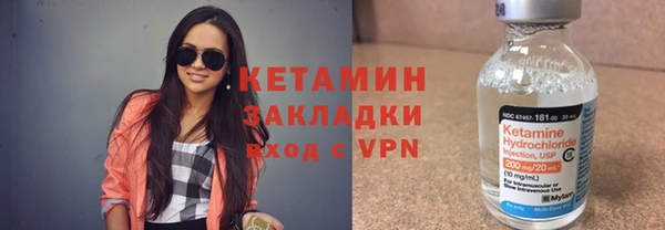 спиды Богородицк