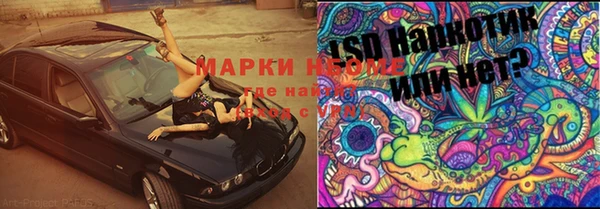 ешки Богданович