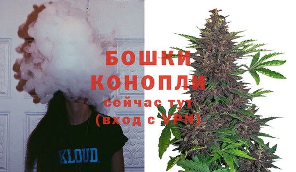 спиды Богородицк