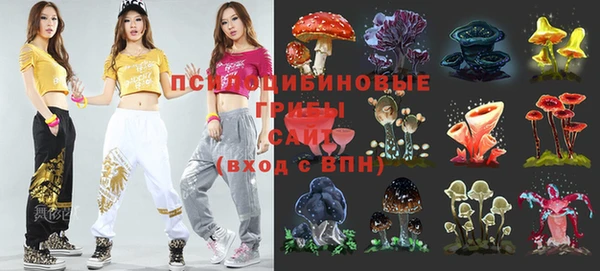 ешки Богданович