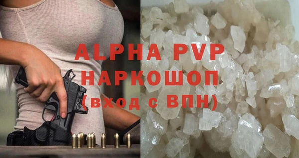 ешки Богданович