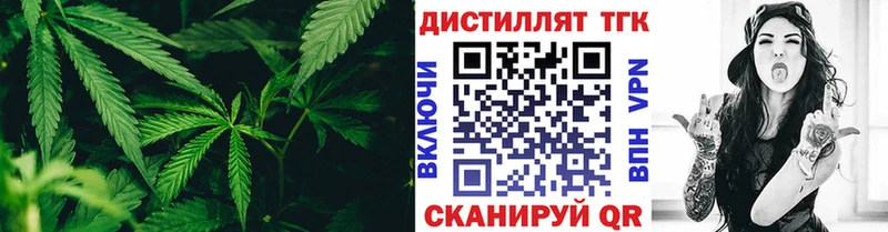 ТГК Wax  Дальнегорск 